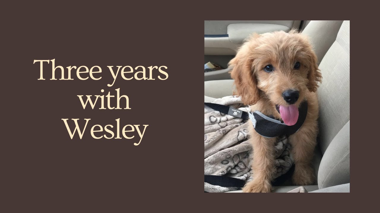 Three years with Wesley