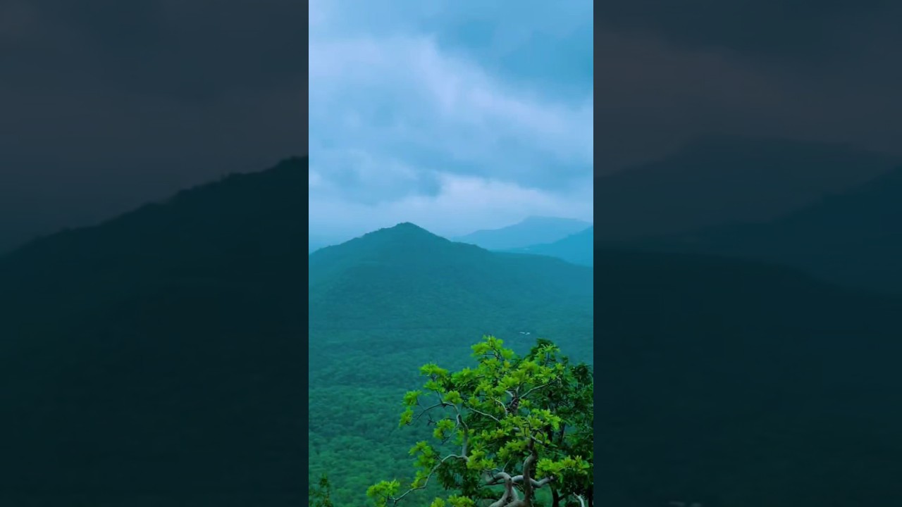 || The Beauty of Madhya Pradesh || #viralvideo #ai #vlog #travel #foodforfoodies