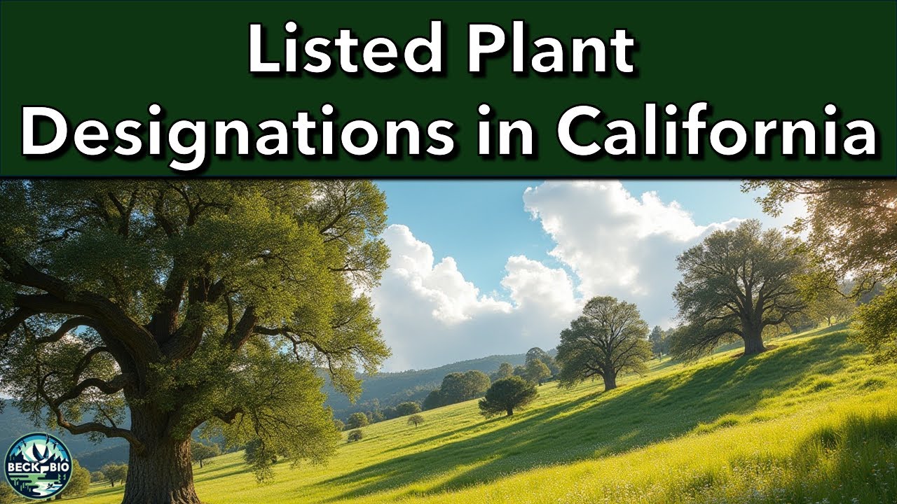 Listed Plant Designations in California