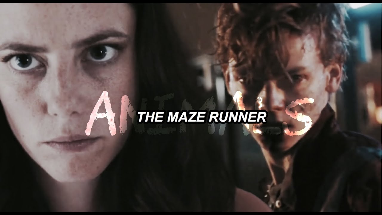 The Maze Runner / Animals