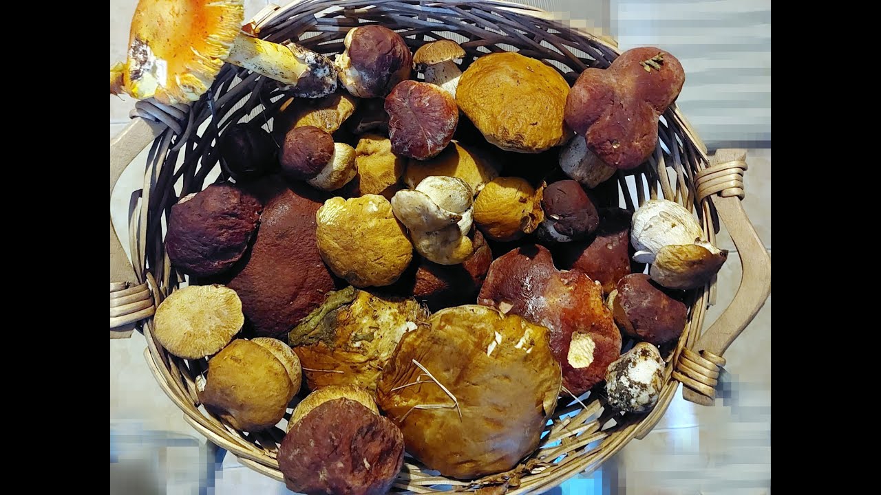 Alta Val Taro 21 set 025