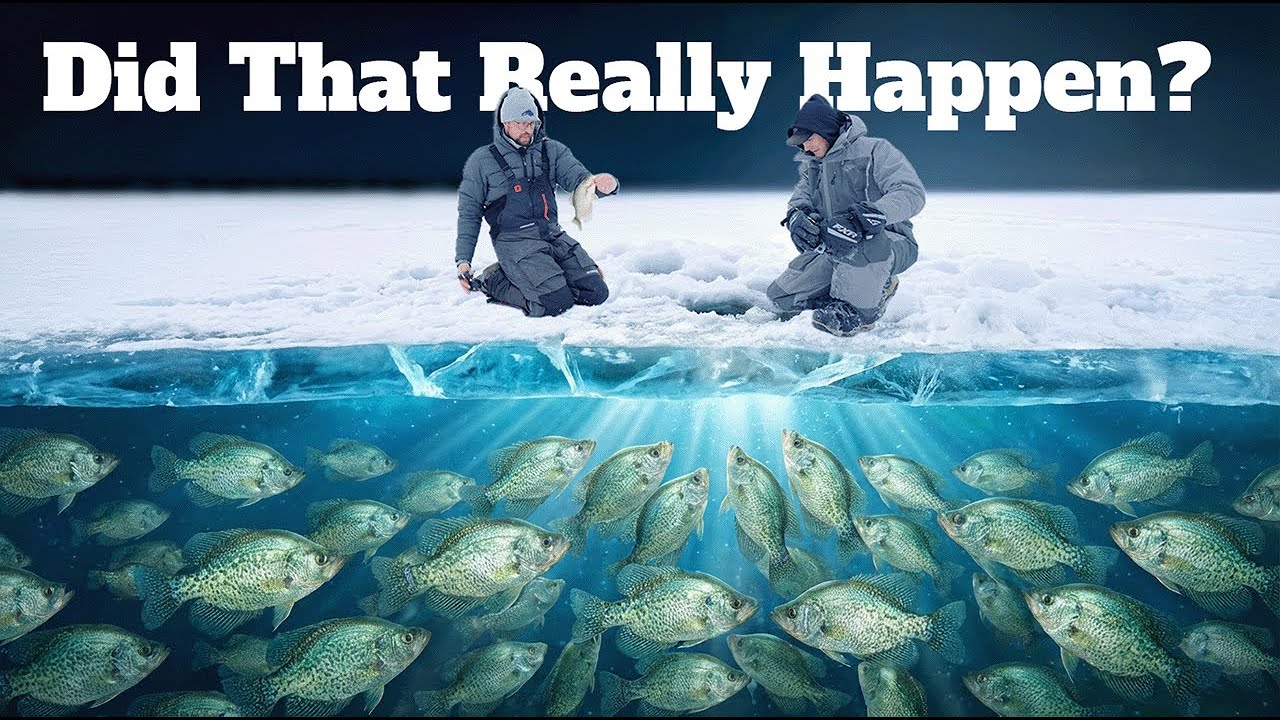 We Caught Our Crappie Limit FAST… Then This Happened!