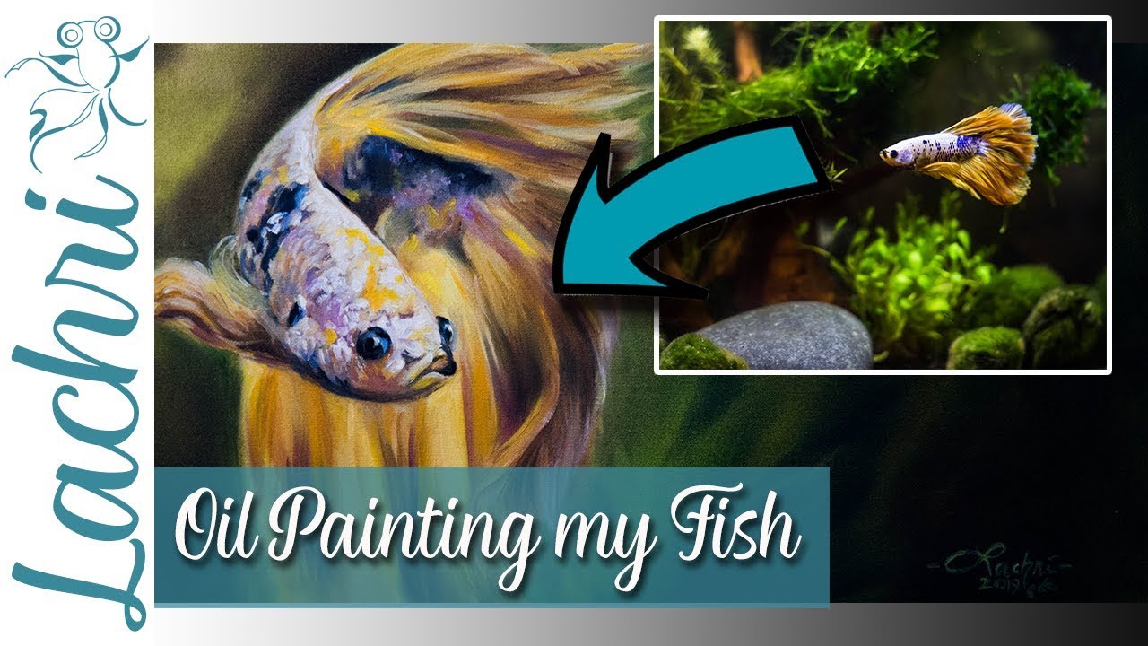 Oil Painting my Betta Fish - Lachri - Ft. Simply Betta
