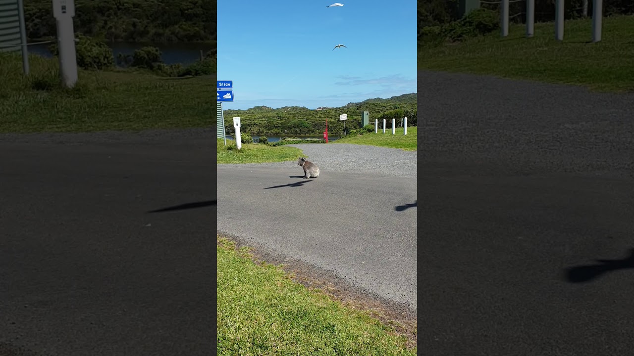 Checking out Yambuk Caravan park