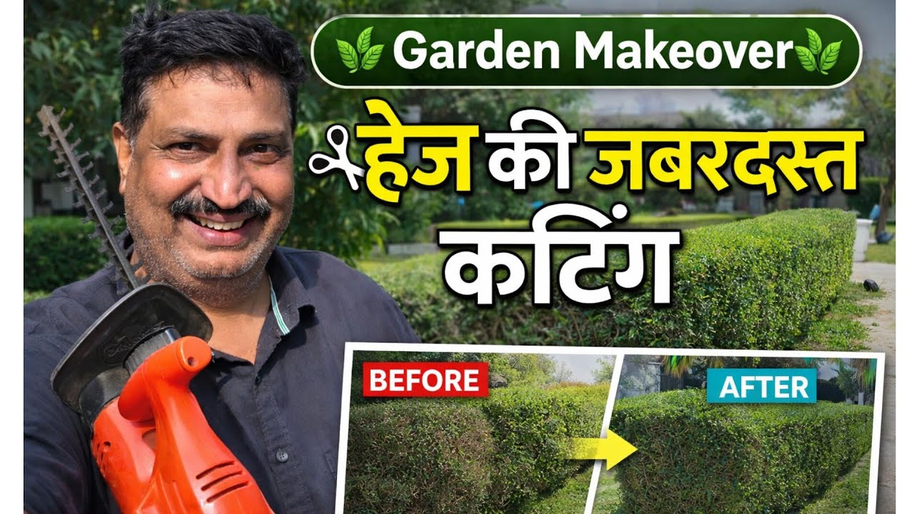 Garden Maintenance Day 🌿 | Perfect Hegi Cutting Ka Tarika