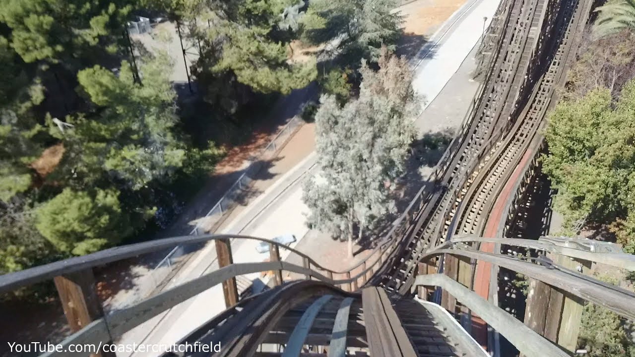Гризли в первом ряду (HD POV) Большая Америка Калифорнии