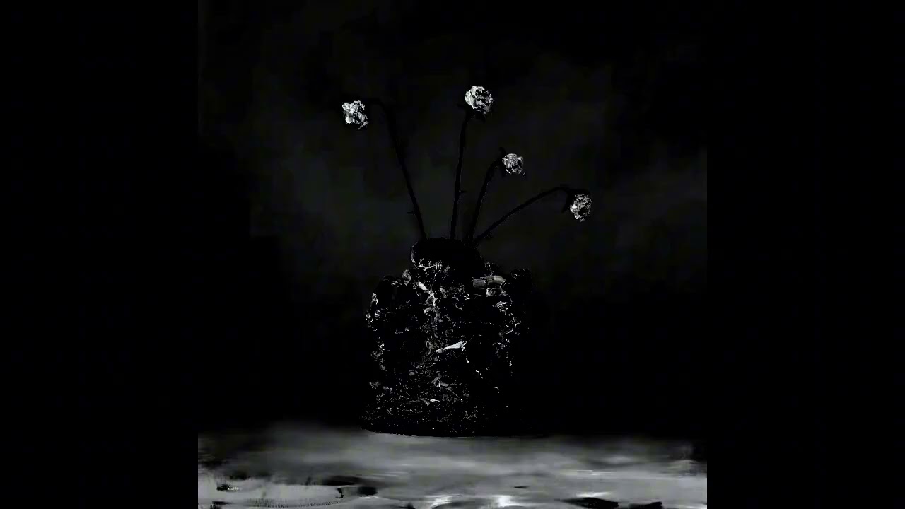 C3 - What does it matter how my heart breaks(mega slowed + reverb) The Caretaker