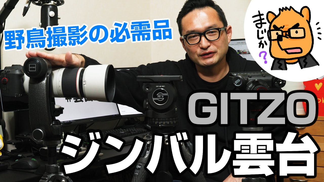 野鳥撮影に良き！フルードジンバル雲台 GHFG1（ジッツオ）を徹底解説！