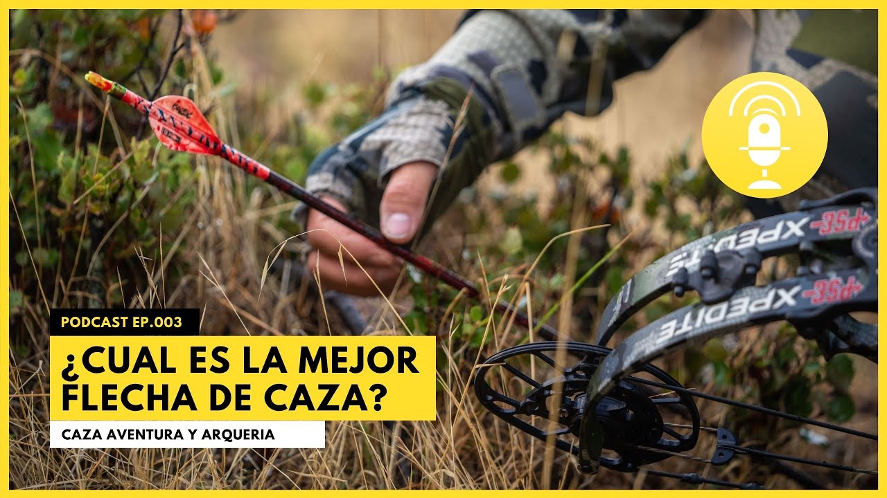 COMO ELIJO LA FLECHA CAZA? 💥 QUE ES EL SPINE? QUE AFECTA PENETRACI&Oacute;N DE LA FLECHA?💥 PODCAST EP.003