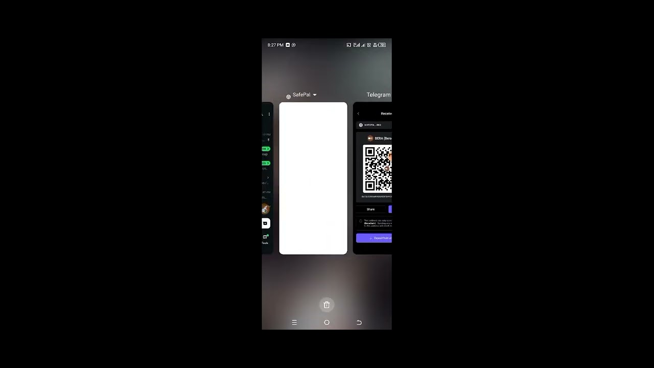 GET PAW GOLD TOKEN ON BERRA CHAIN NETWORK
