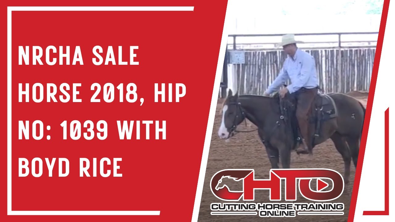 NRCHA Sale Horse 2018, Hip No: 1039 with Boyd Rice