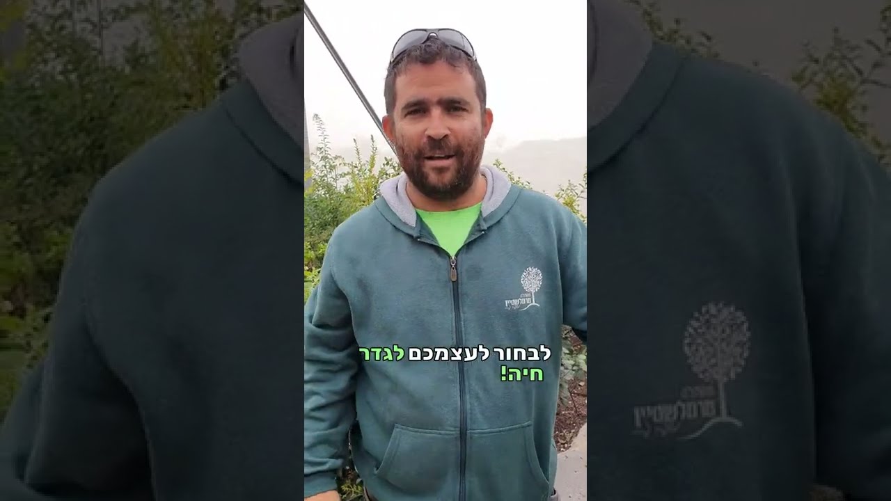 5 שיחים שמתאים לגדר חיה