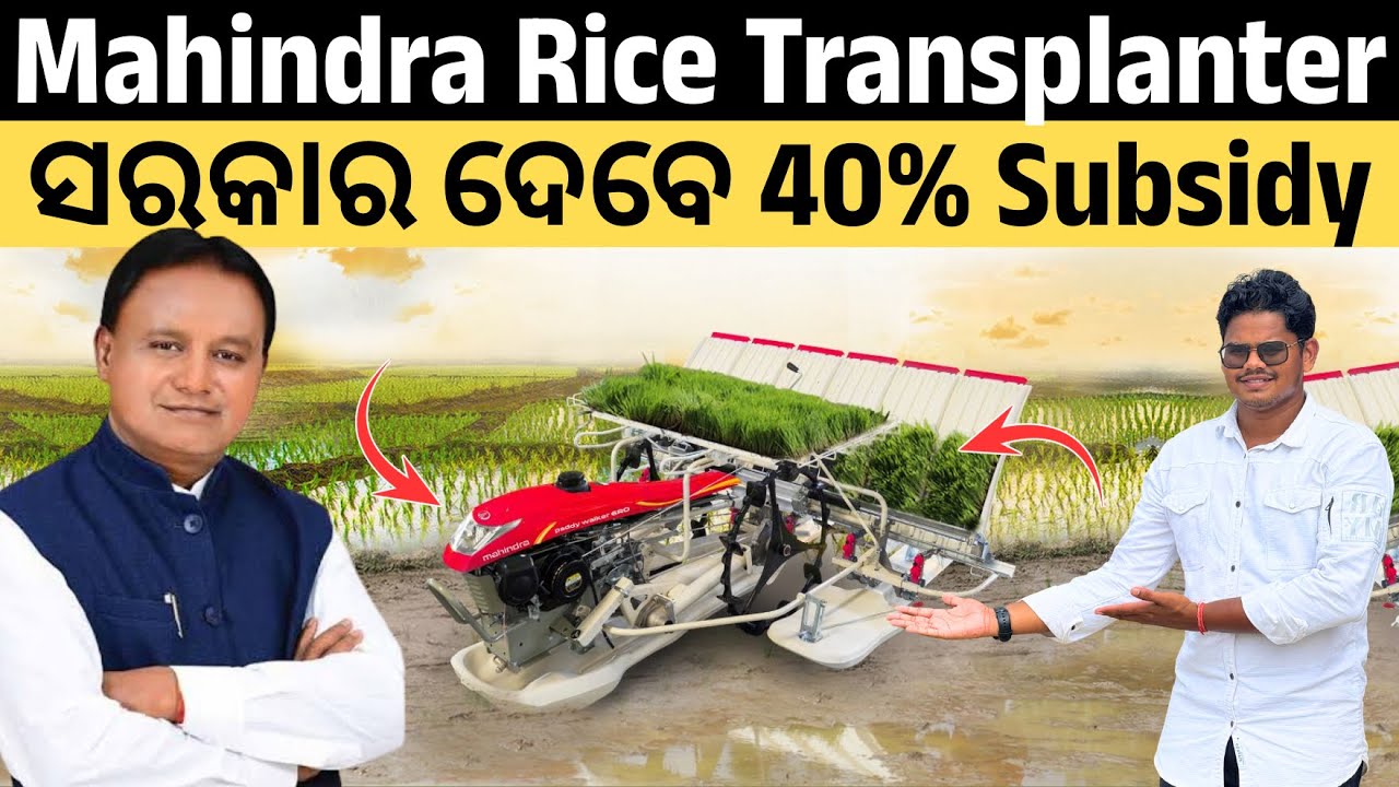 4000 ଟଙ୍କା ର କାମ ଏହି ଧାନ ତଳି ରୁଆ Machine 200 ଟଙ୍କା ରେ କରିବ / Mahindra Rice Transplanter