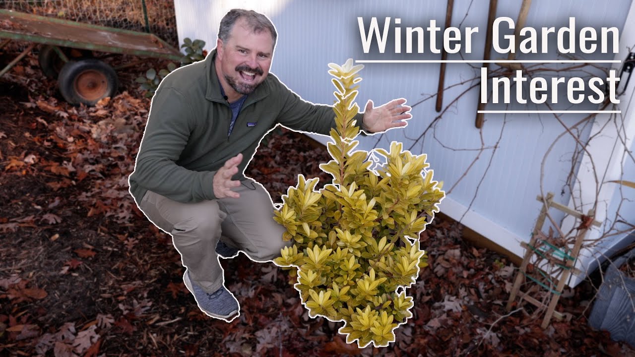 Winter Interest Plant Tour
