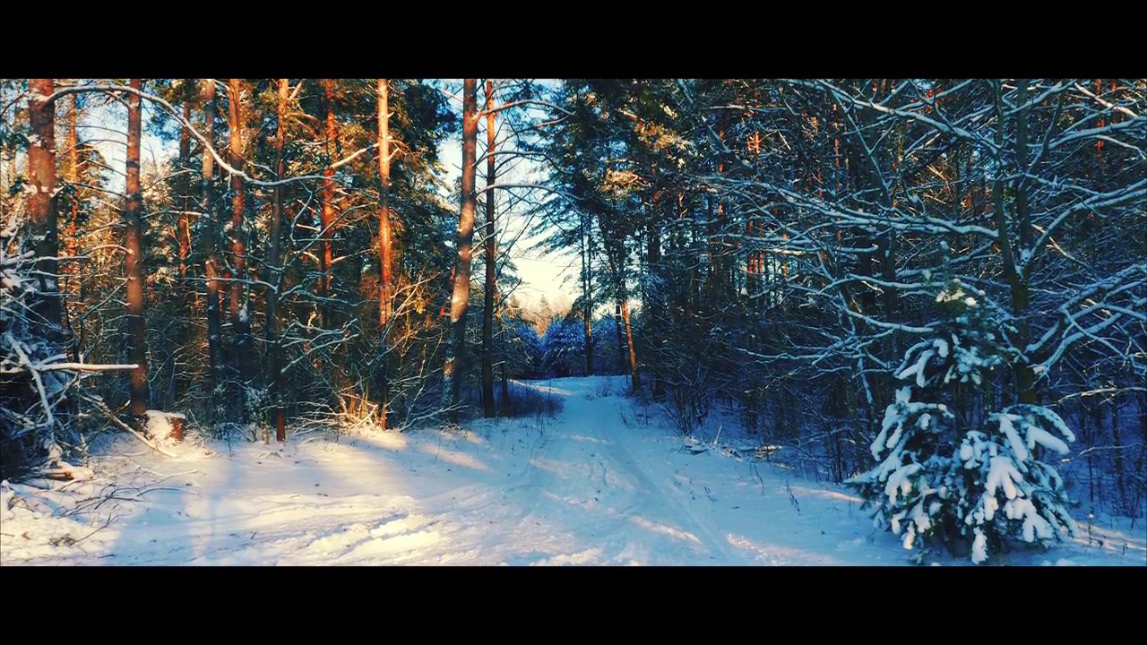 JANUARY - 2017 / Panasonic LX100 4K footage in -19°C