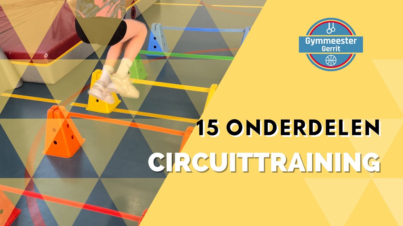 15 circuit onderdelen