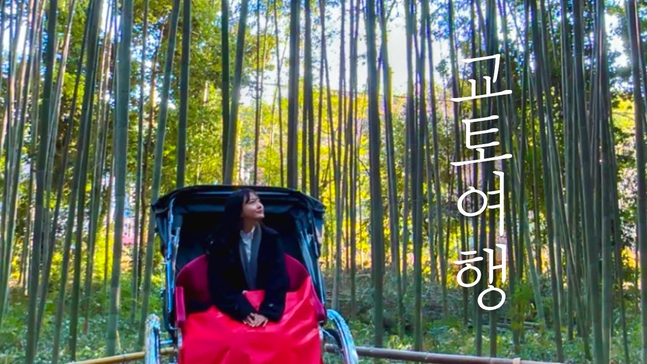 혼자 떠난 교토 여행 브이로그⛩️일본 감성 도시에서 잔뜩 먹고 잔뜩 얘기하는 여행🛤️교토 여행 브이로그 ep.1