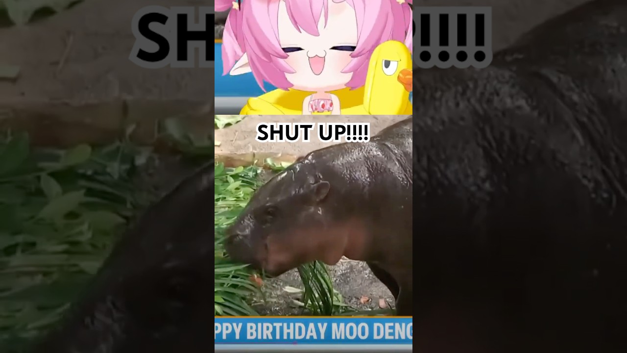 SHUT UP KID!!! I WANT MOO DENG!!! #shorts #chibidoki #vtuber