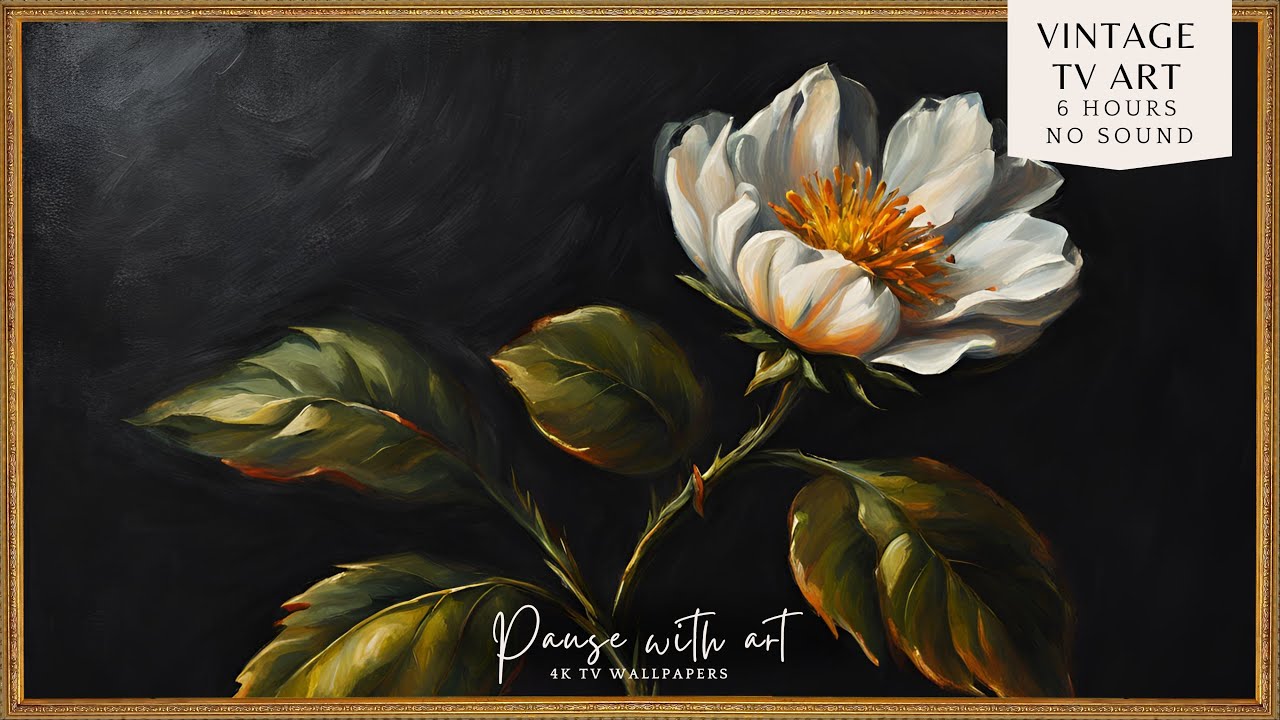 4K Vintage Frame TV Art & Wallpapers Moody Single Flower | Ambient Decor Screensaver | Minimalist