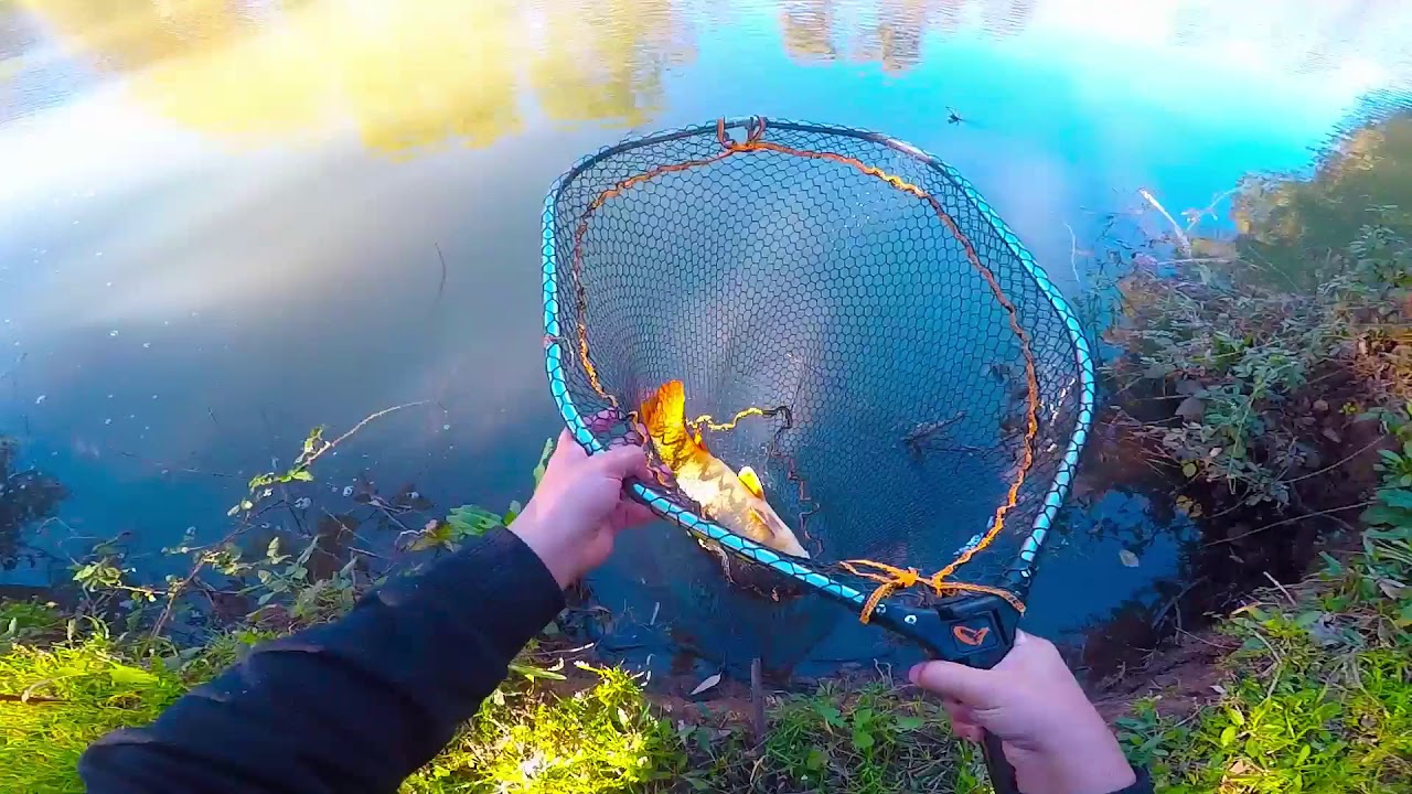 [Ekolago Manzolini] Carpe fishing in solitaria