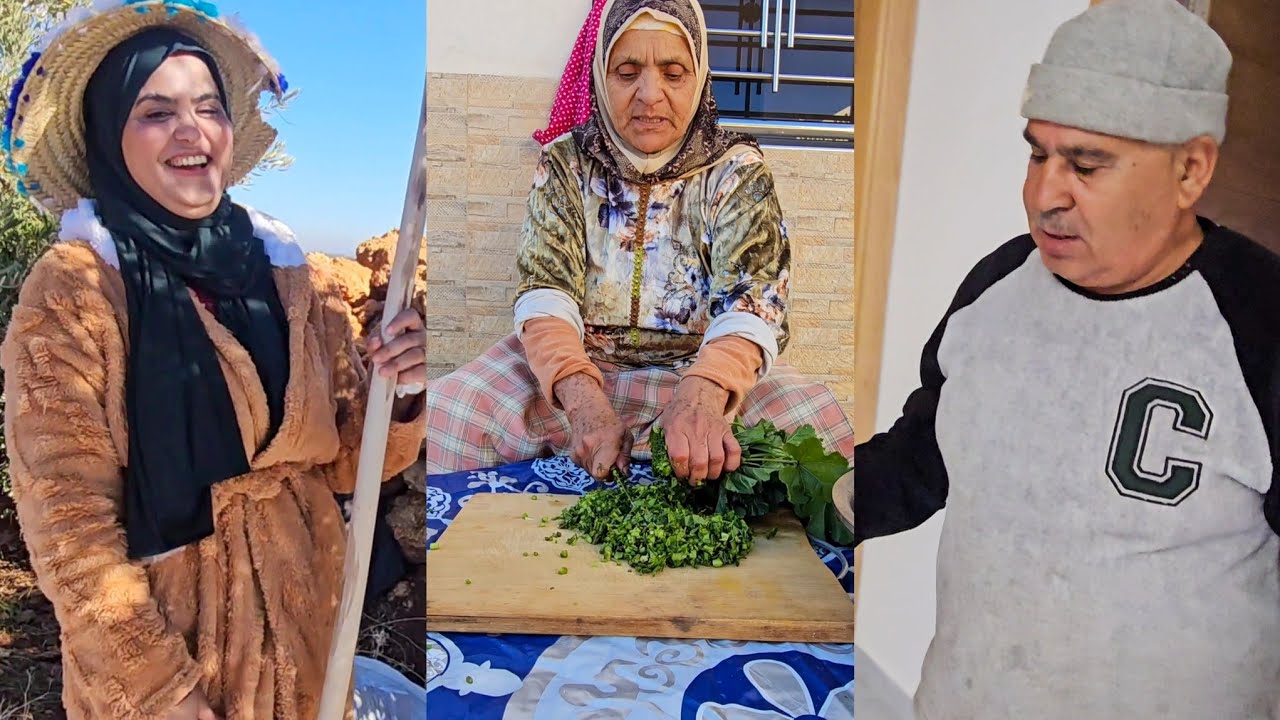 لأول مرة… عائشة كتجني الزيتون مع عكوزتها 😲