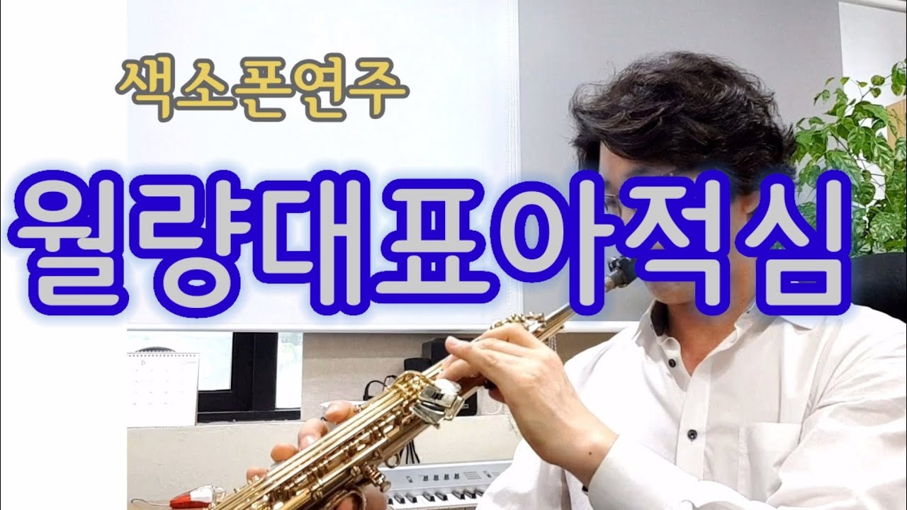 월량대표아적심(소프라노) 月亮代表我的心 홍진영 The moon represents my heart 케니지 첨밀밀  등려군 색소폰연주 안태건