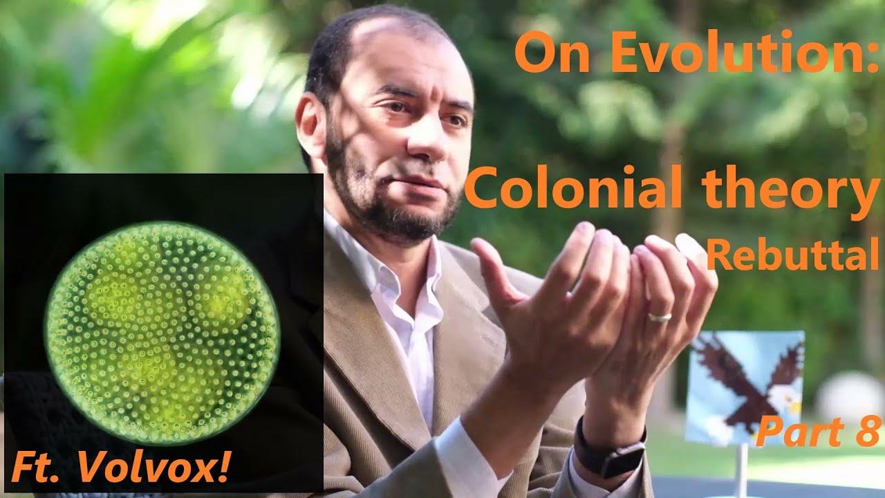 On Evolution 8 | Rebuttals| Colonial Theory| Volvox