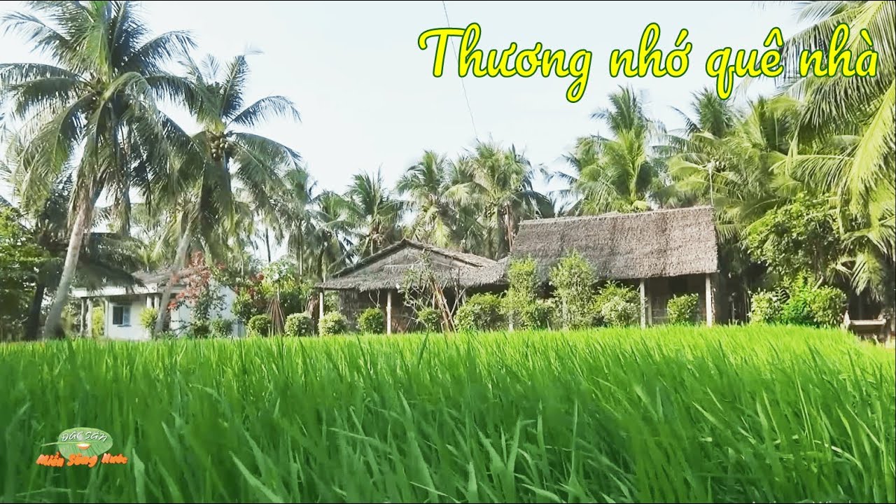 Có ai đang nhớ nhà? Cảnh quê hiền hòa sao thương quá!| Đặc sản miền sông nước