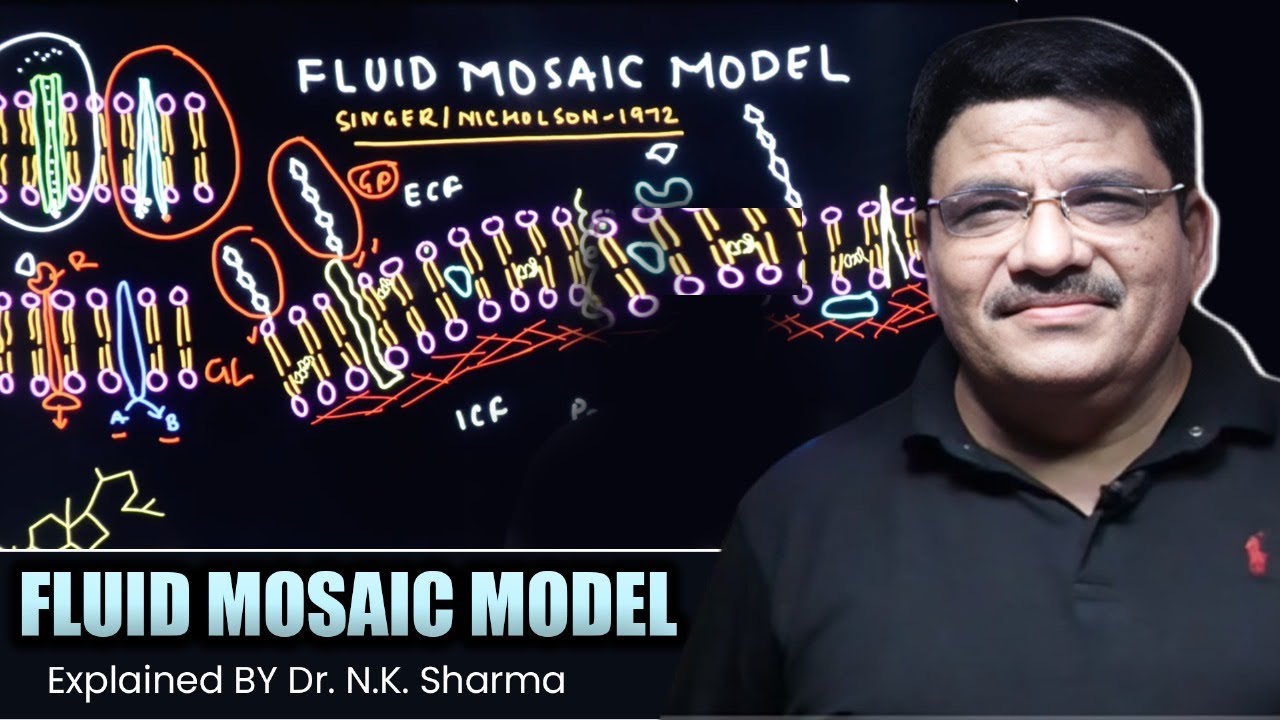 Key Concept: Fluid Mosaic Model of Cell Membrane EXPLAINED by Dr. N.K.Sharma for NEET aspirants!!