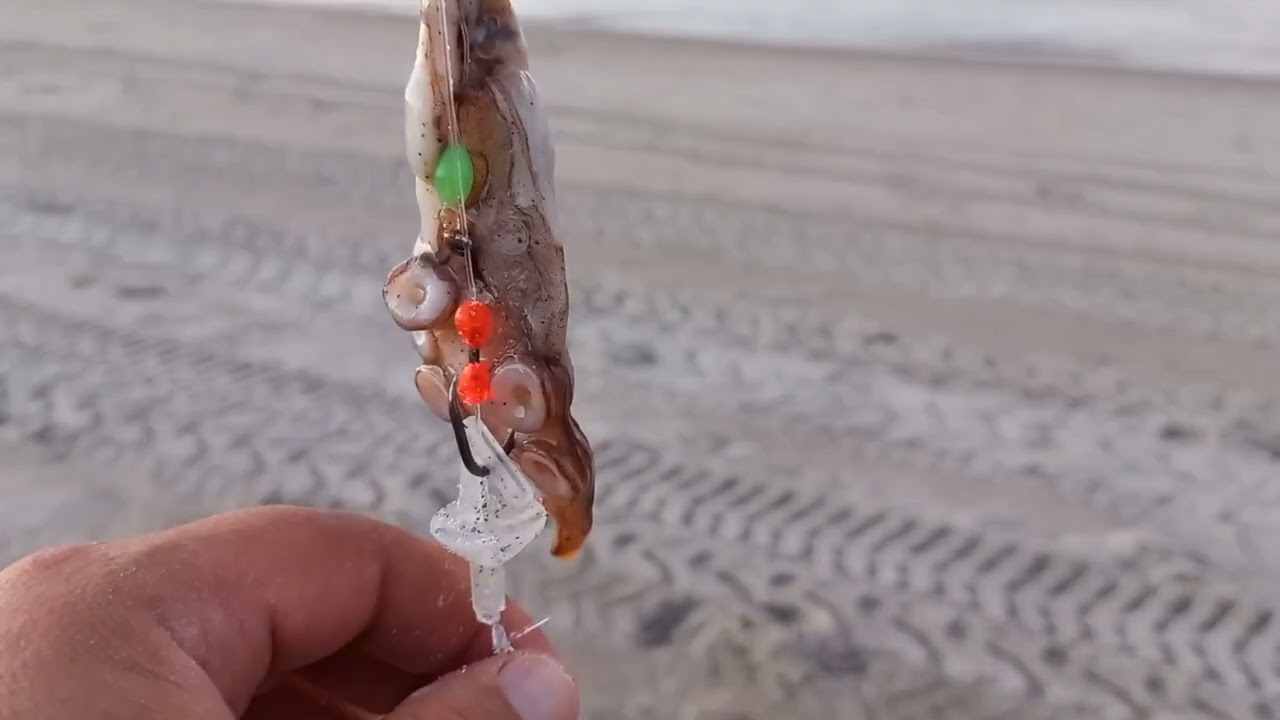 SURFCASTING RIG