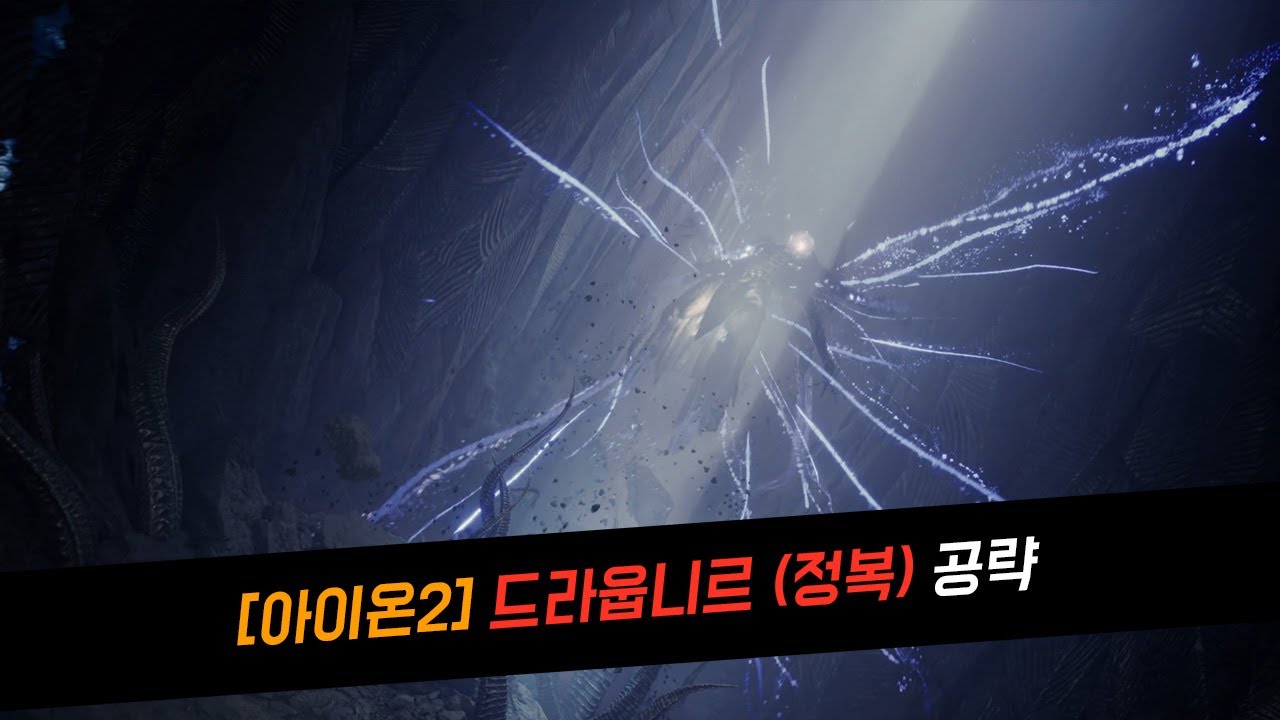 [아이온2] 정복 드라웁니르 던전 공략 (검성 시점)