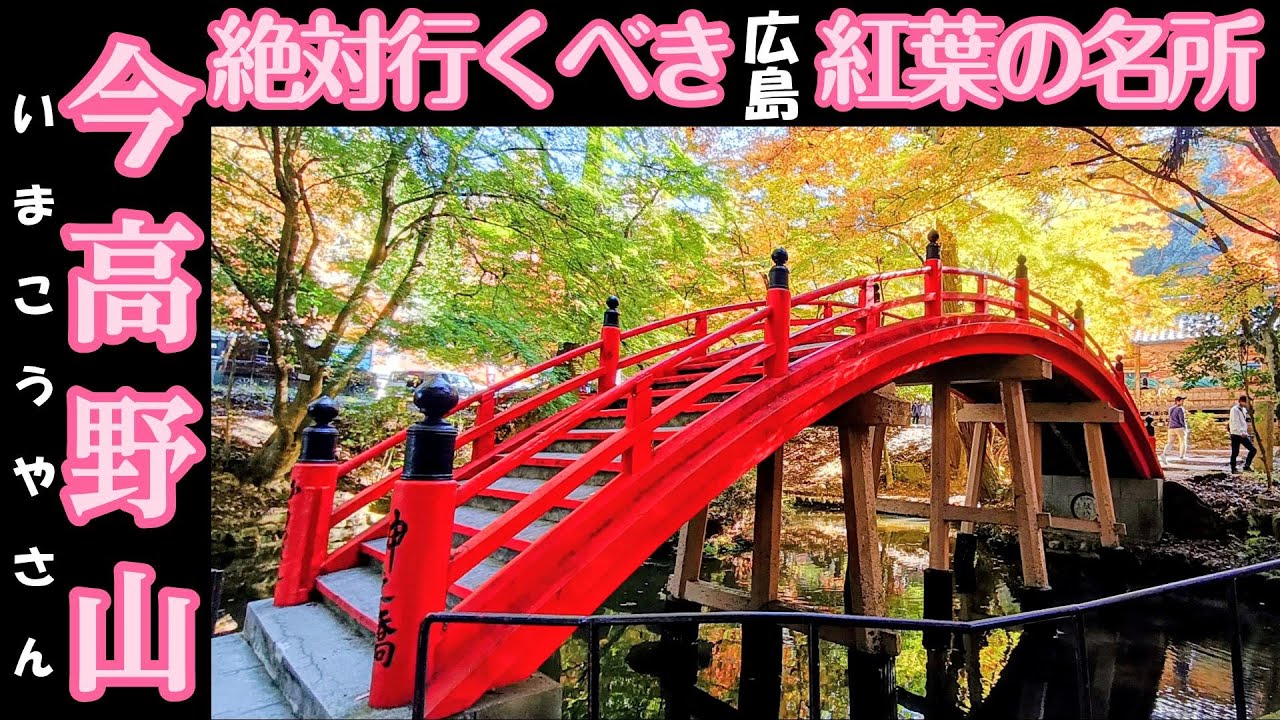 【今高野山】（広島県・世羅町）は絶対に行くべき紅葉の名所！古城山周回コースプチ山登りも楽しめます。2025.11.16.