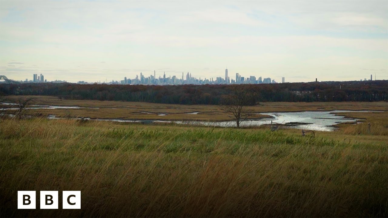 The park that turned rubbish into a nature haven | BBC Global