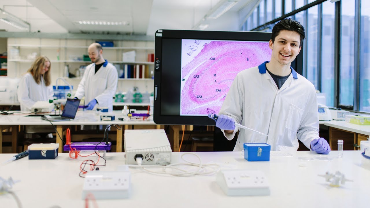 Neuroscience | Undergraduate Degrees at University of Leeds