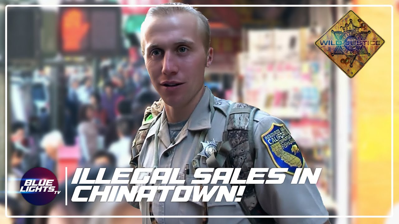 Warden STOPS Shop From Selling ILLEGAL Animals! | Wild Justice