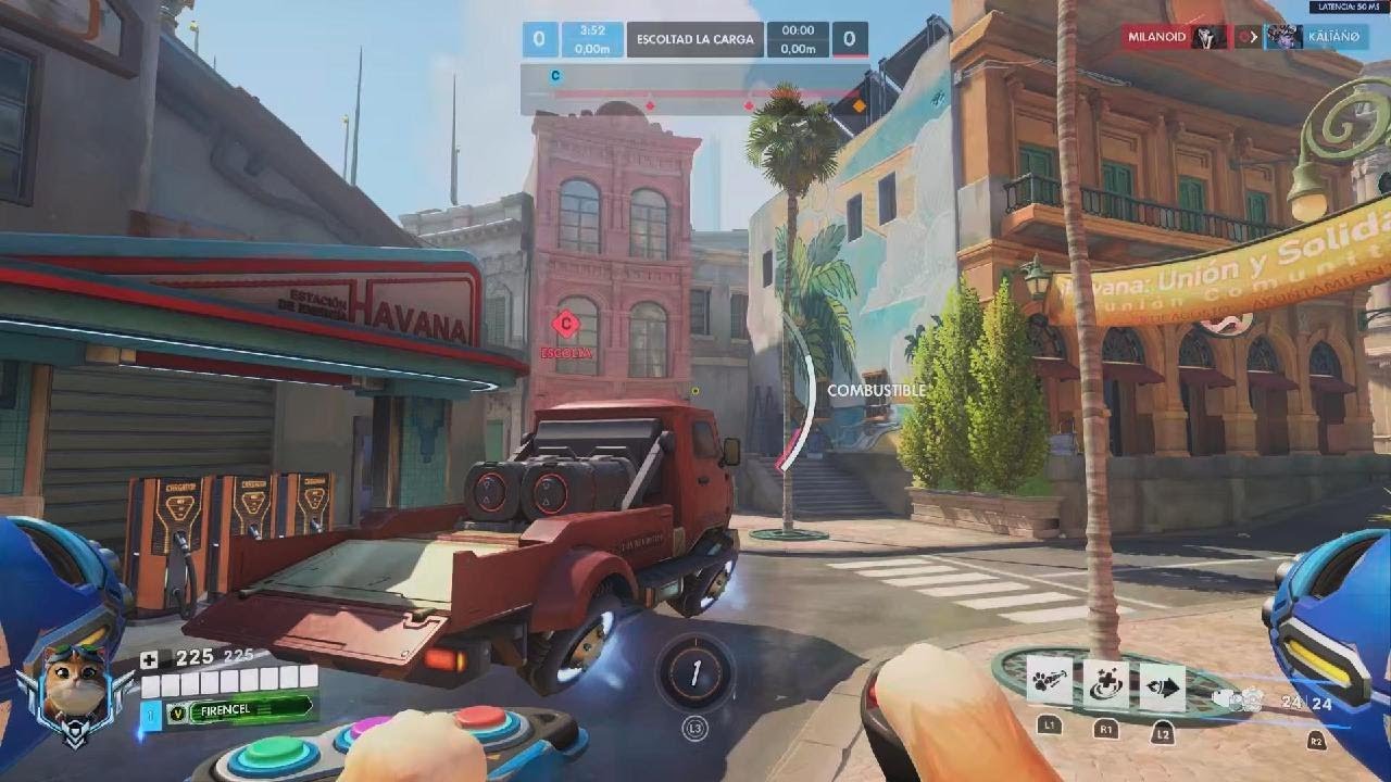 Overwatch gato