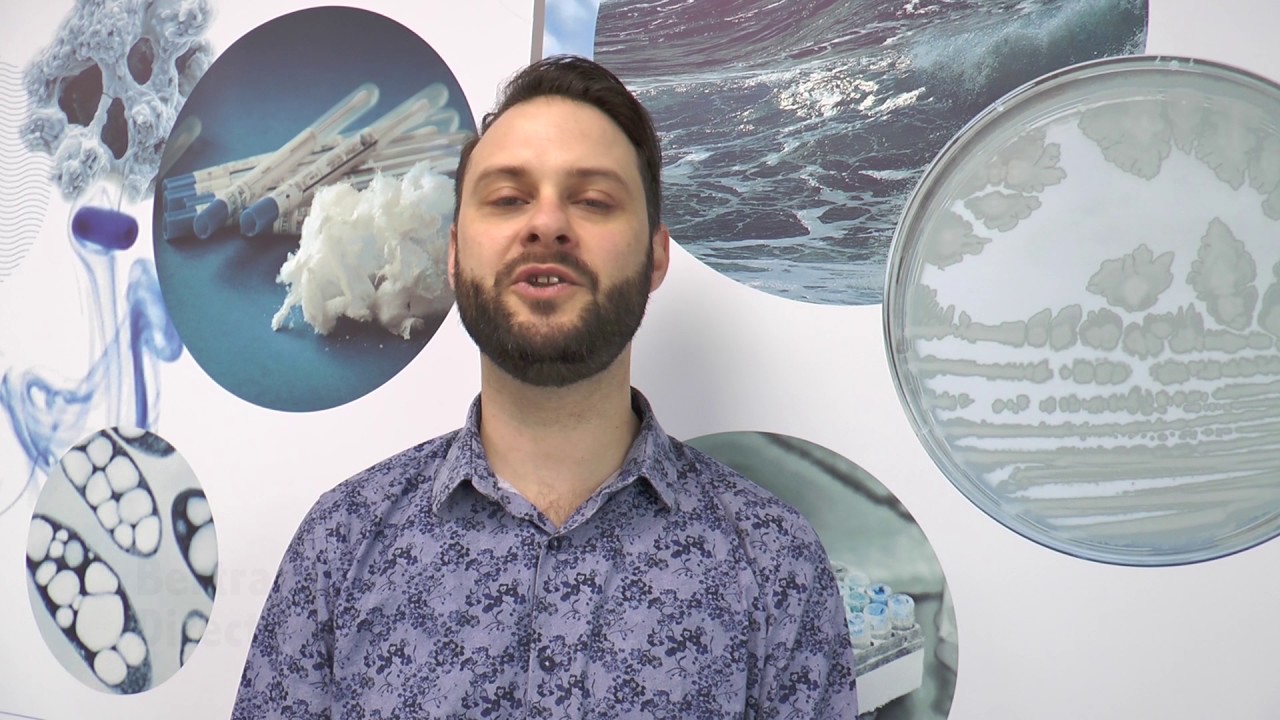 Polymaris, une entreprise spécialisée en biotechnologie bleue.