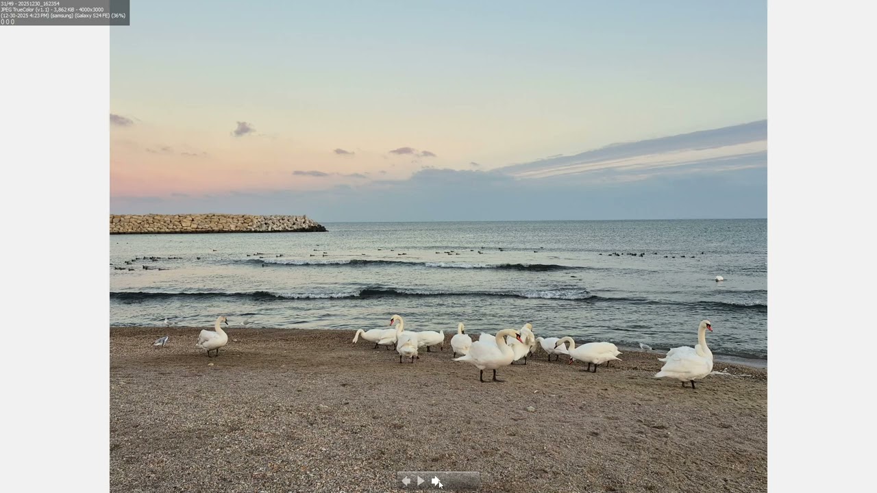 Eforie Sud Black Sea wild resort at winter