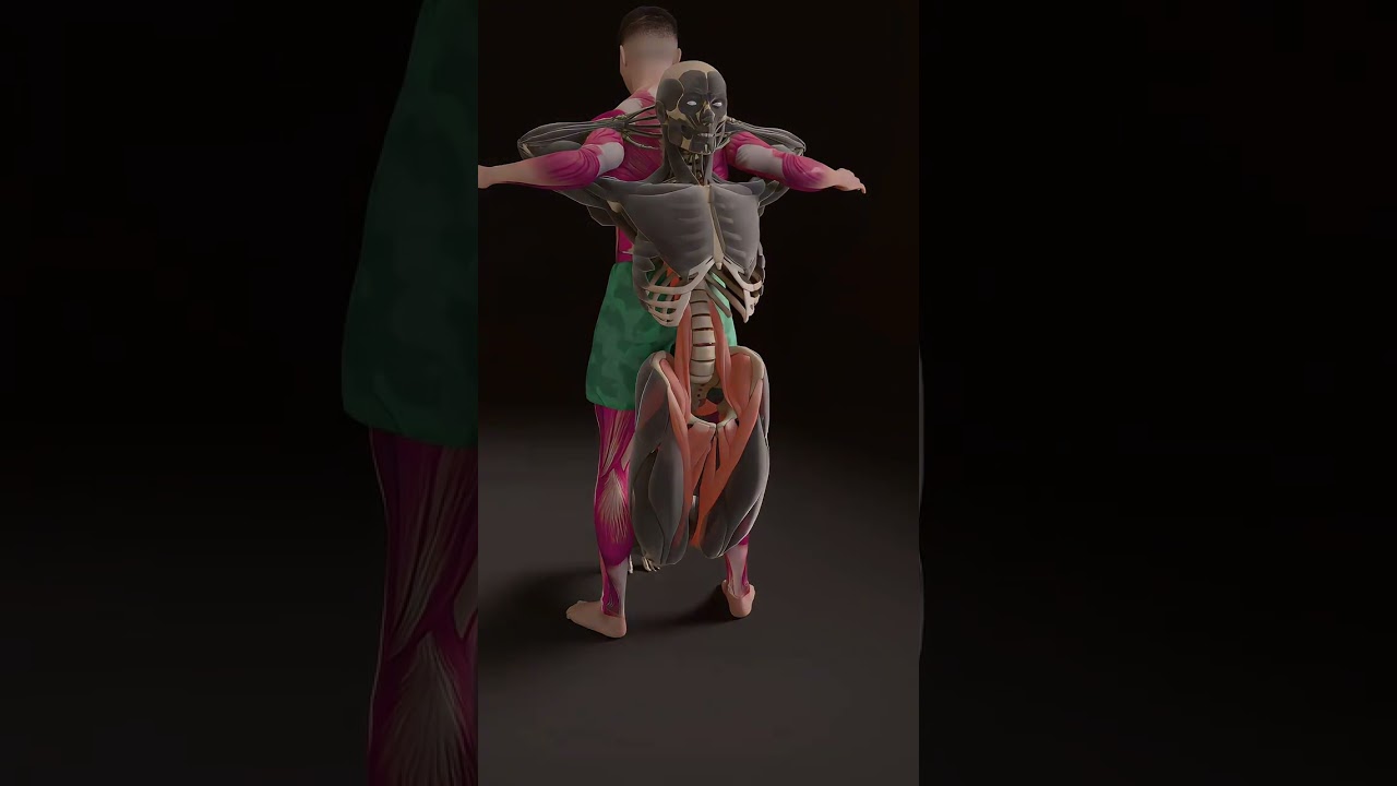 Partner Spinal Traction Stretch for Back Pain Relief | 