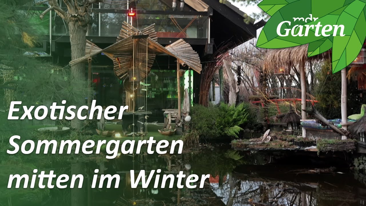 Ein Sommergarten im winterlichen Erfurt | MDR Garten