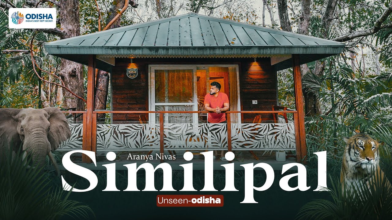 A DAY IN SIMIILIPAL, ODISHA'S DEEP JUNGLE | Best Travel Destination in odisha - Aranya Nivas lulung|