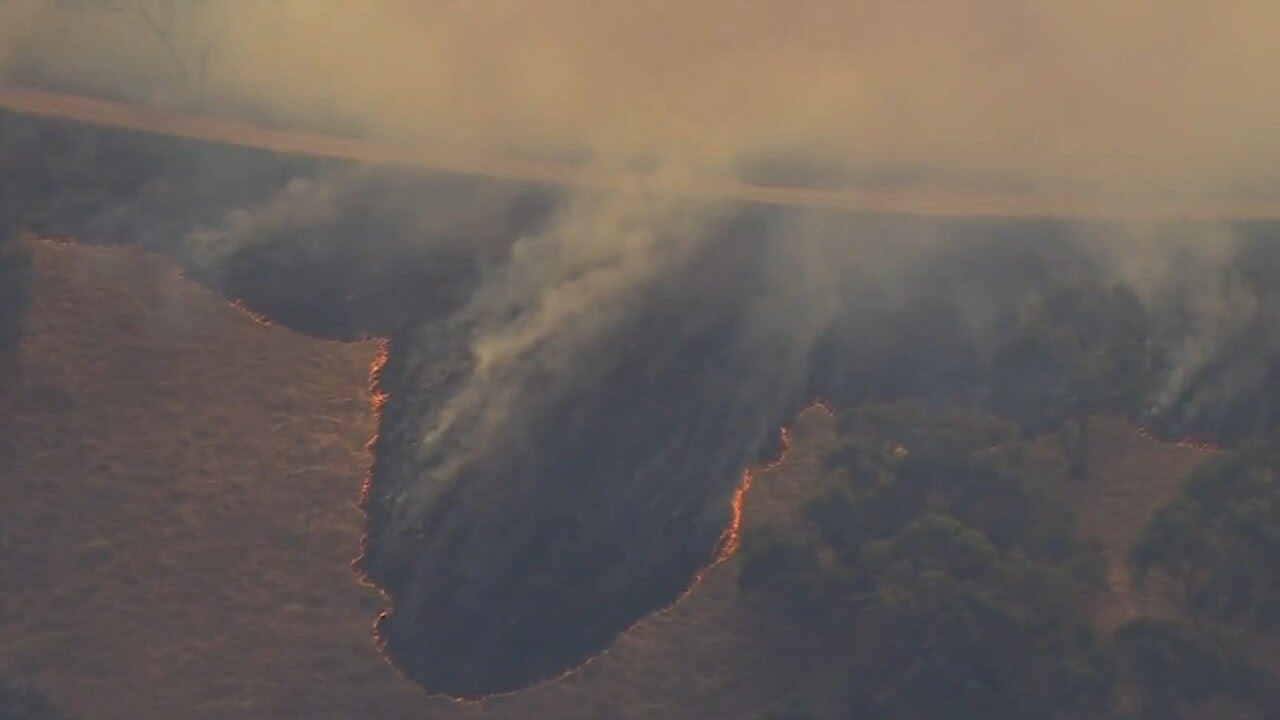 Grass fire burning in Flowerdale, Victoria