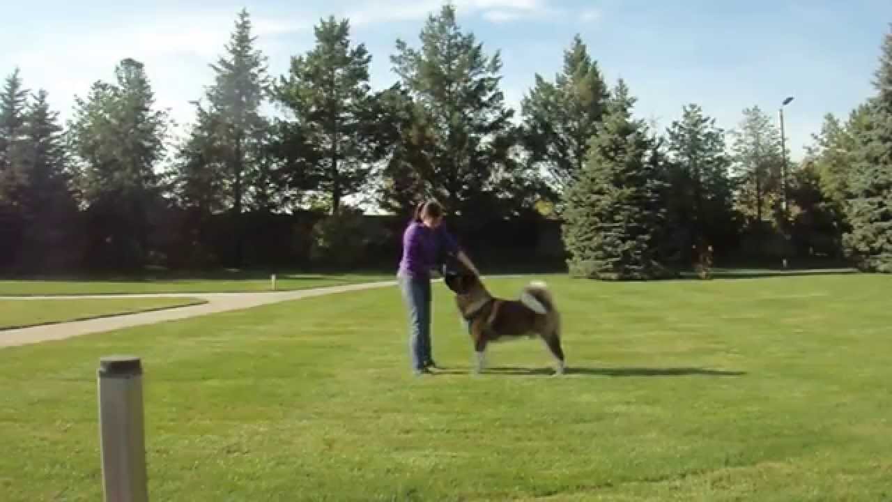 MOV00563