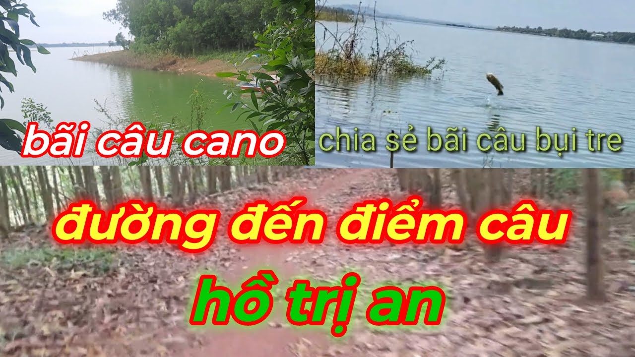 Chia sẻ 2  bãi câu hoàng đế và câu đài hồ trị an
