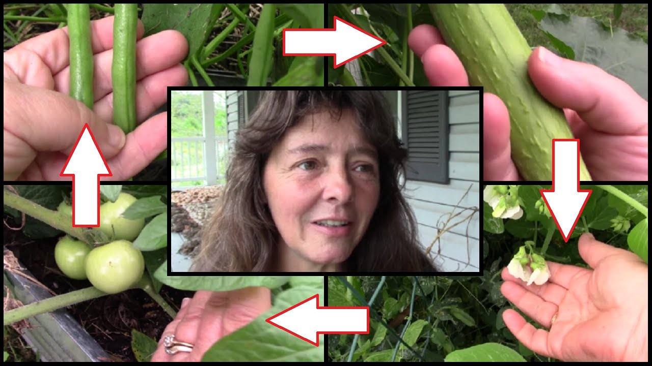Fall Garden Tour And A Confession