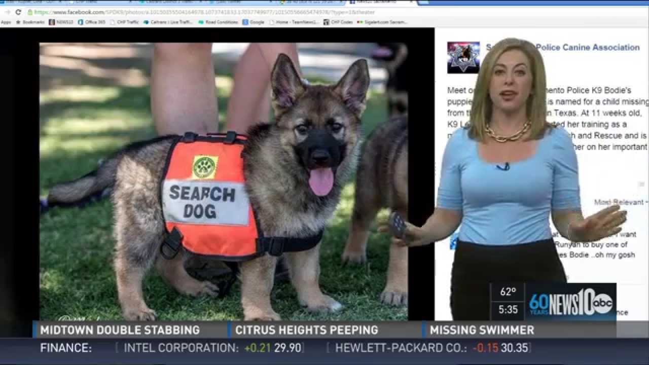 Dina Kupfer Morning Anchor Reel