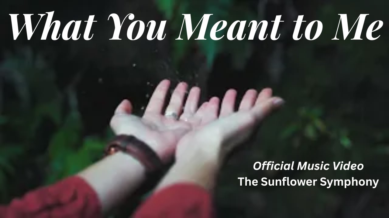 What You Meant to Me (Official Music Video)