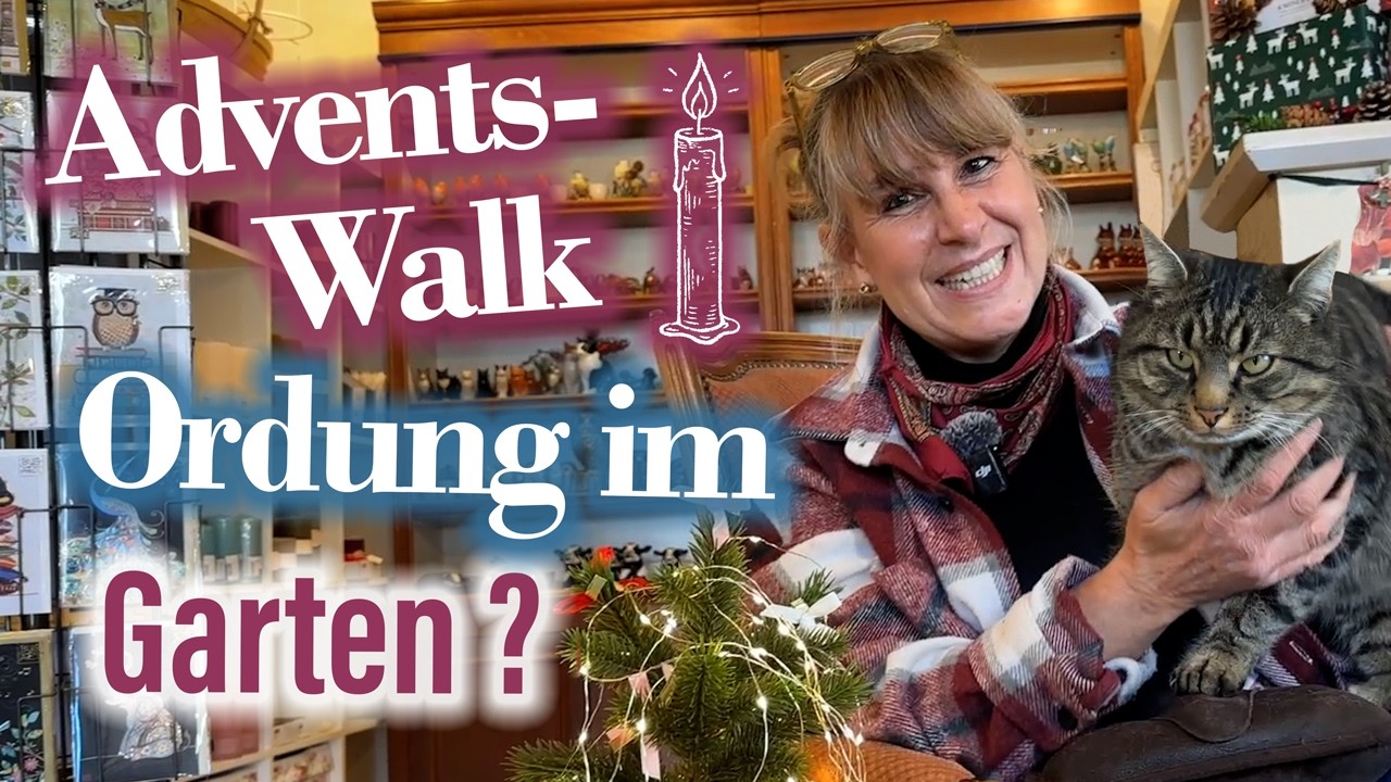 Winterliche ORDNUNG im Garten ZEITGEMÄSS ? - hier die GRÜNDE samt Vorweihnachtsstimmung✨🎄💚