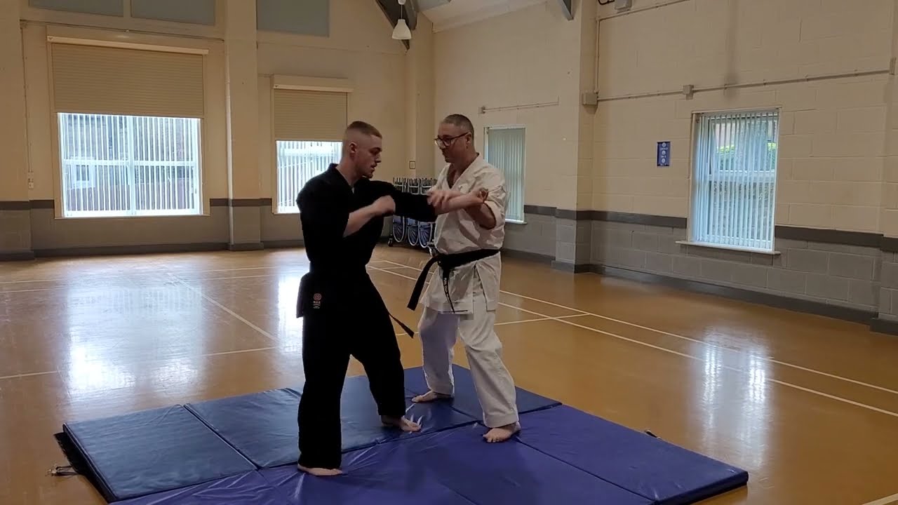 Exploring Bunkai / Oyo Pinan Nidan applications