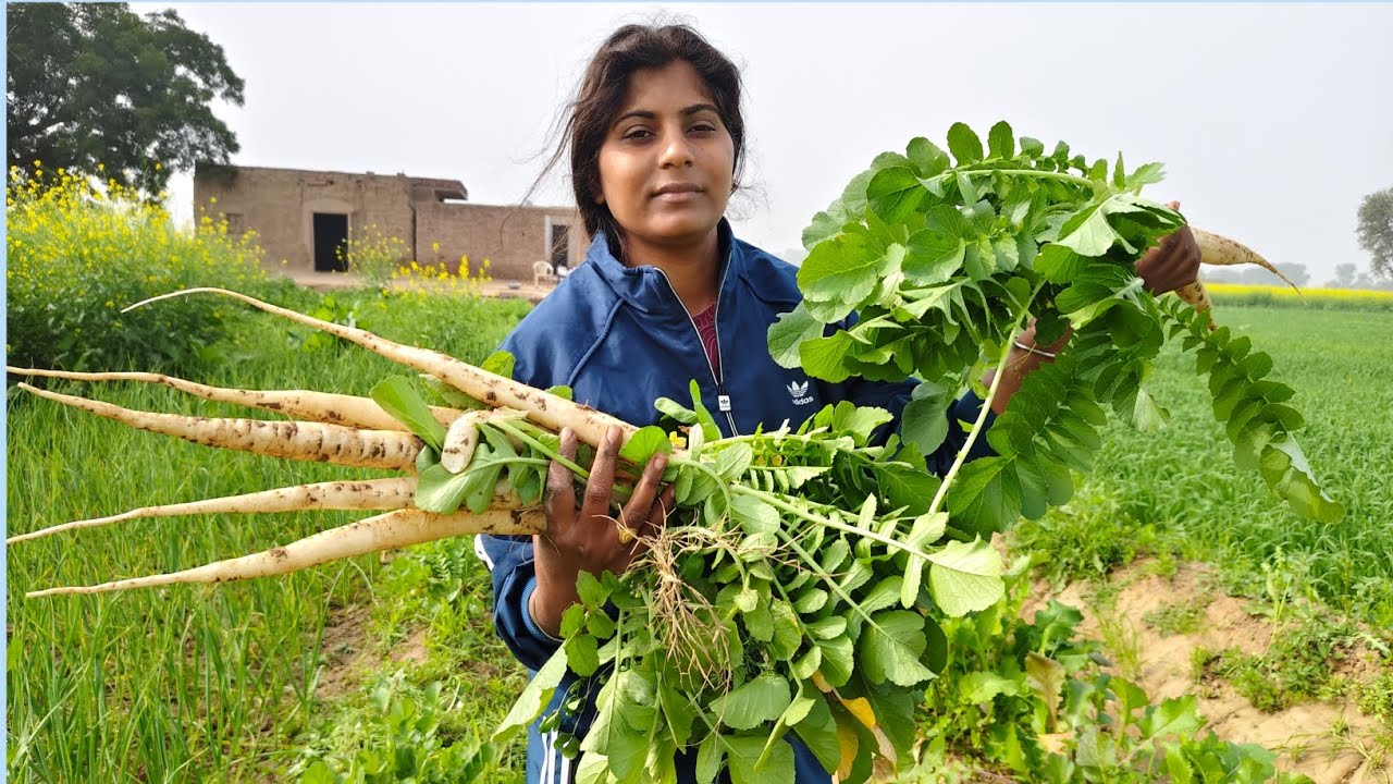 मुली के prathe #farmlife#youtubevideo #simran kour